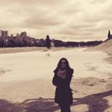 Valeriafalchi