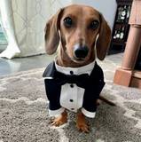 Giacomo