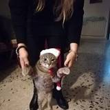 Cristina