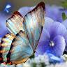 Irene