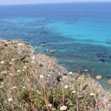 Annamaria