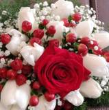 Sebastiana