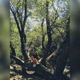 Valeria