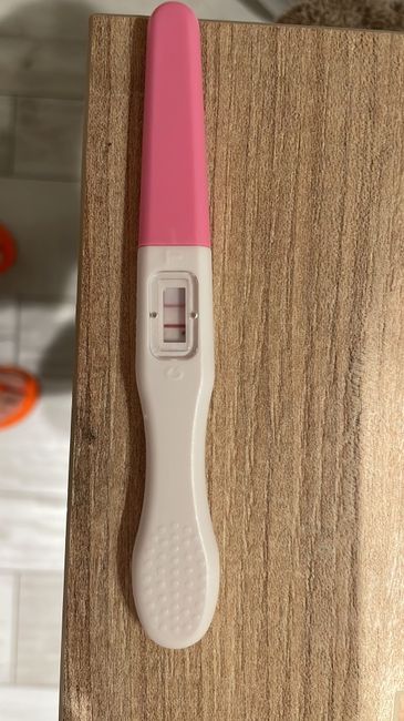 Chi non le aspetta per maggio 2025 🍀🌸🌺💐🌻 2