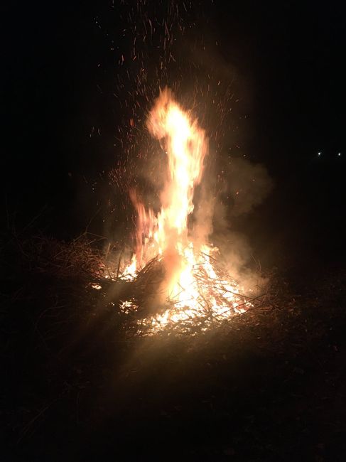 Falò 🔥😍 3