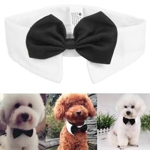 Cravatta o Papillon Sposi 🤵‍♂️ 12