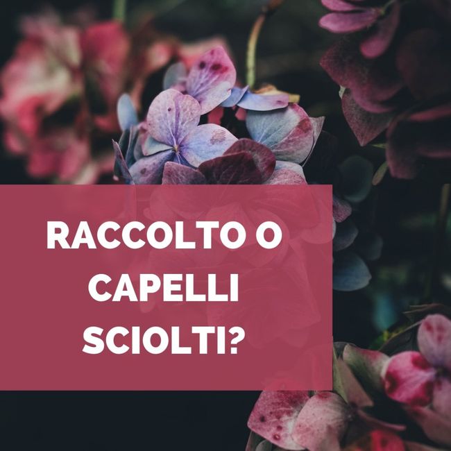 Raccolto