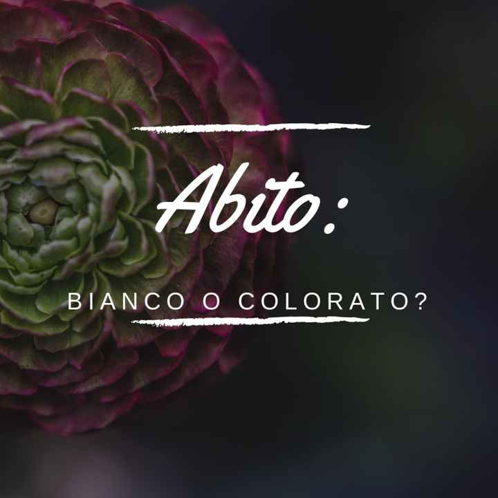 Abito