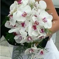 Boquet orchidee