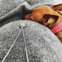 💙💜future mamme di Maggio 2022💙💜 - 1