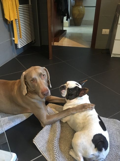 Quasi due mesi di noi! 8