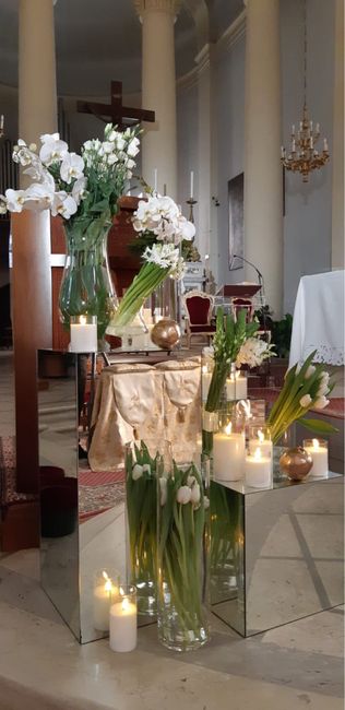 Consigli fiori per dicembre - 2