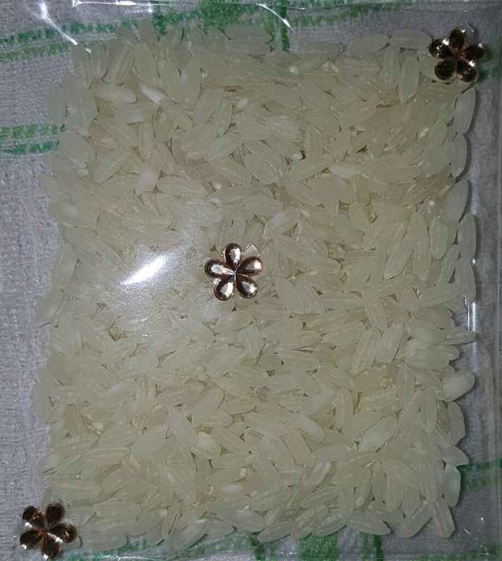 Sacchetti con riso - 1