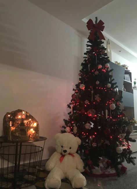 Primo albero da marito e moglie 🎄 - 1