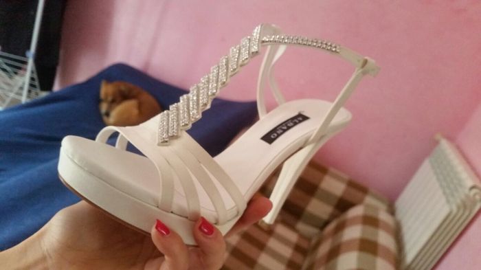 Sandali o decoltè? - 1