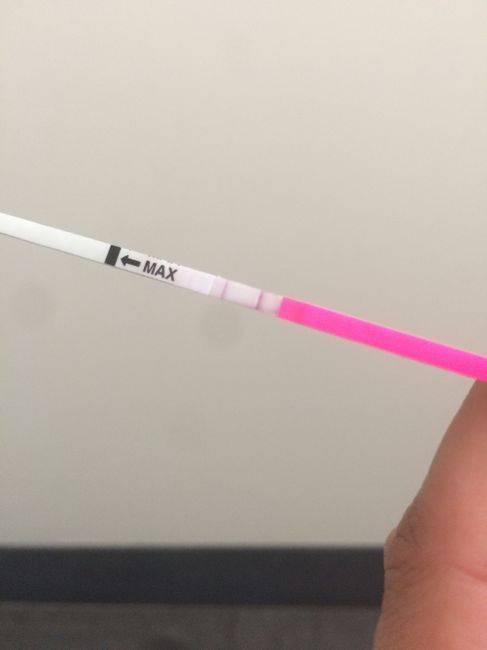  Aiutatemi a capire - 2