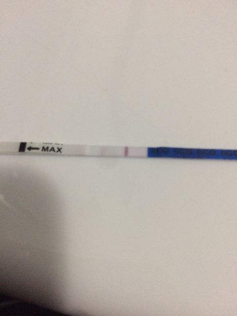 Positivo o negativo ? 2