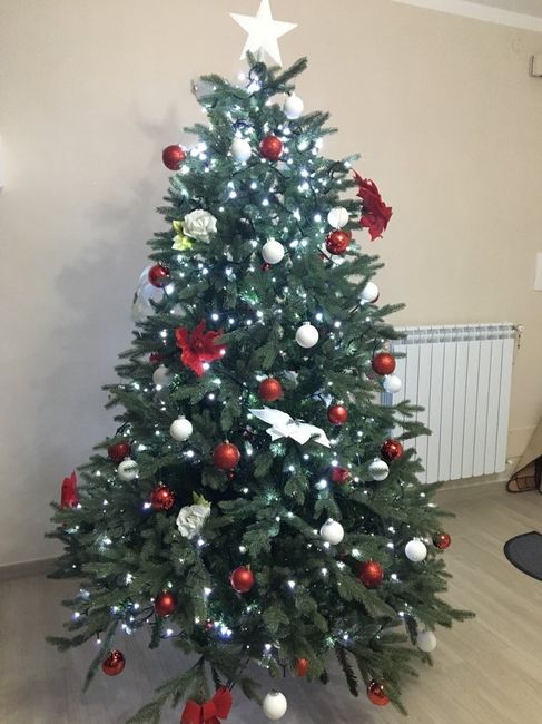 Finalmente l' albero - 1