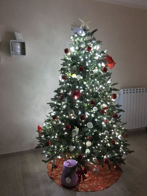 Il ns primo albero da mr. and mrs - 1