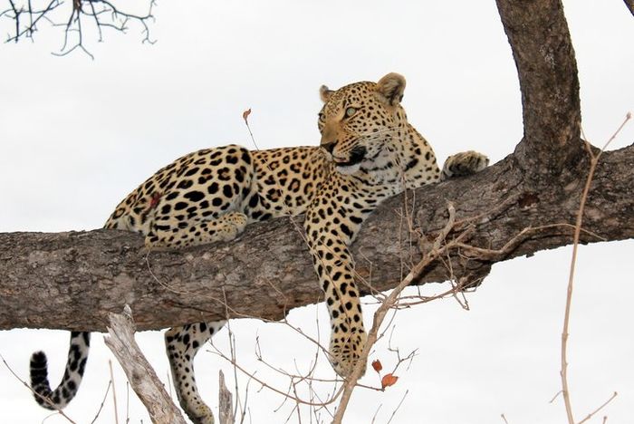 Viaggio di nozze in sud africa! - 4