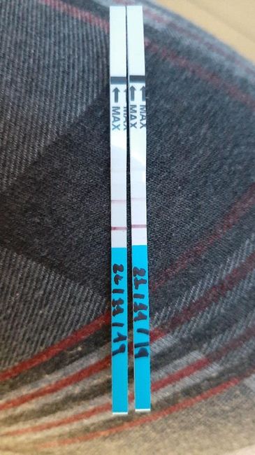 Ricercatrici di pennute specializzate in stick ovulazione a meeee!!! - 1