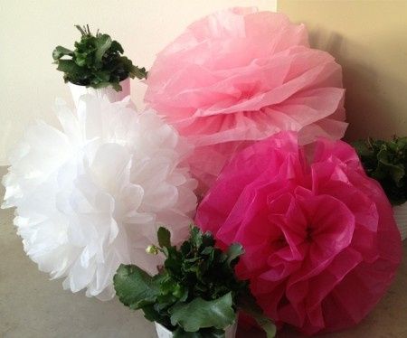 i miei fiori x esterno 