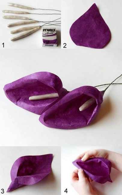 calle   sono stupende 