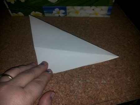 foglio 