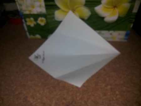 foglio 