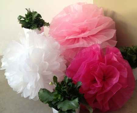 i miei fiori x esterno 