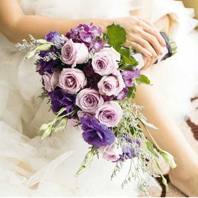 Da dove cominciamo? - 1