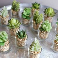 Le mie bomboniere saranno... - 1