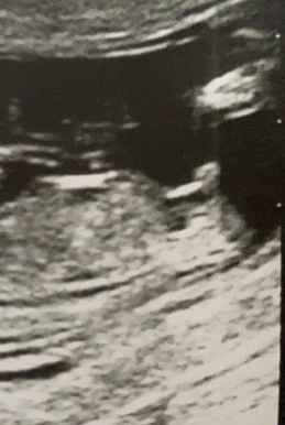 Maschio o femmina.? - 1