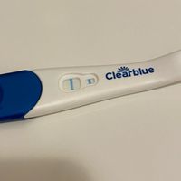 Muco prima del ciclo .., esperienze. - 1