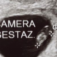 Ramzi ne ha beccate 2 su 2❤️❤️ - 1