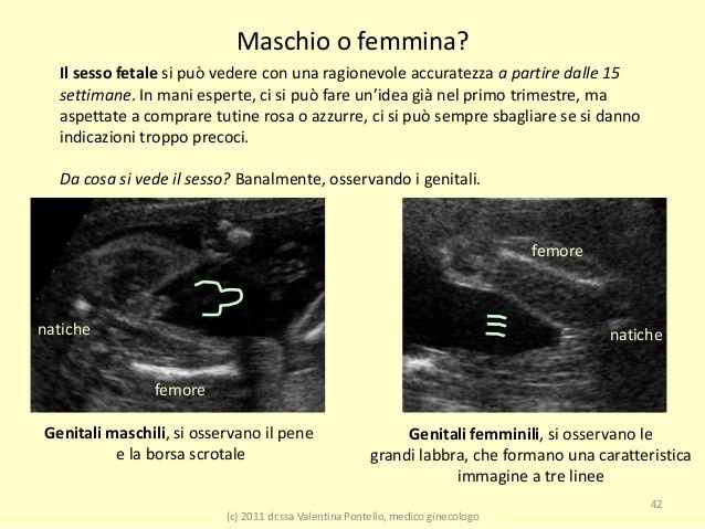 Maschio o femmina ? - 2