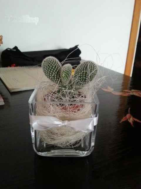 Aiutino: consiglio per le bomboniere tema natura! - 1