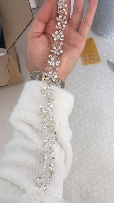 Alla ricerca dell'accessorio - 2