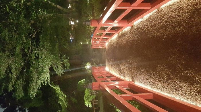 In diretta dal..... - 2