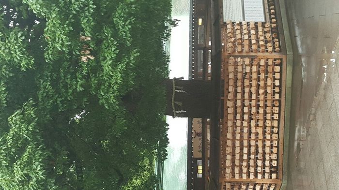 In diretta dal..... - 4