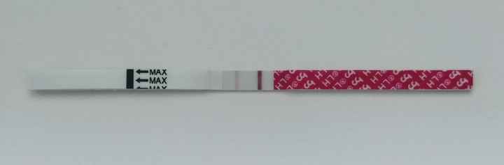 Test ovulazione come test precoce gravidanza.. 3