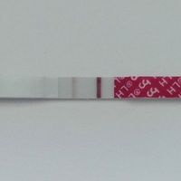 Test ovulazione come test precoce gravidanza.. - 1