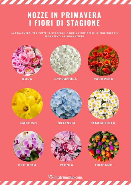 9 fiori di stagione per un matrimonio in primavera 🌷 1