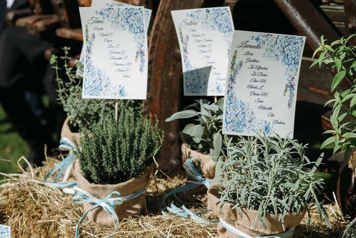 8 idee per decorazioni con erbe aromatiche 1