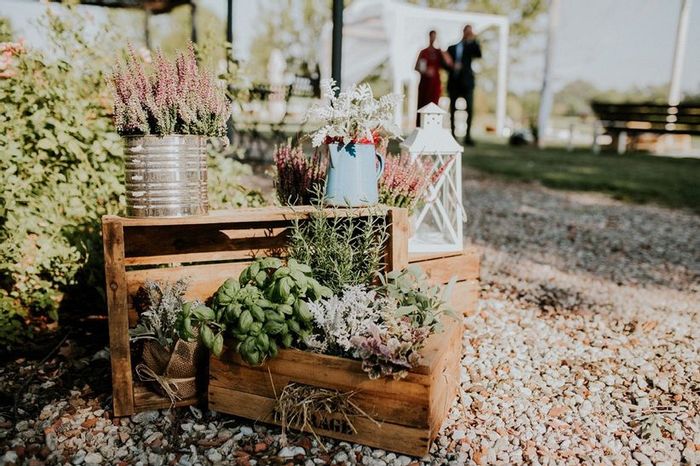 8 idee per decorazioni con erbe aromatiche 3
