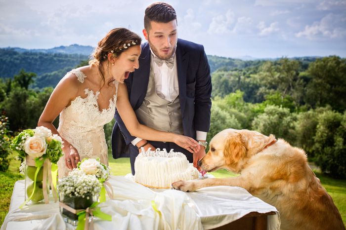 Tips per invitati a 4 zampe🐶 - 1