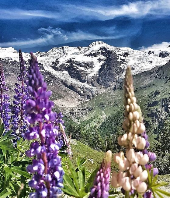 Valle d'Aosta: cosa non ti perderesti? 1