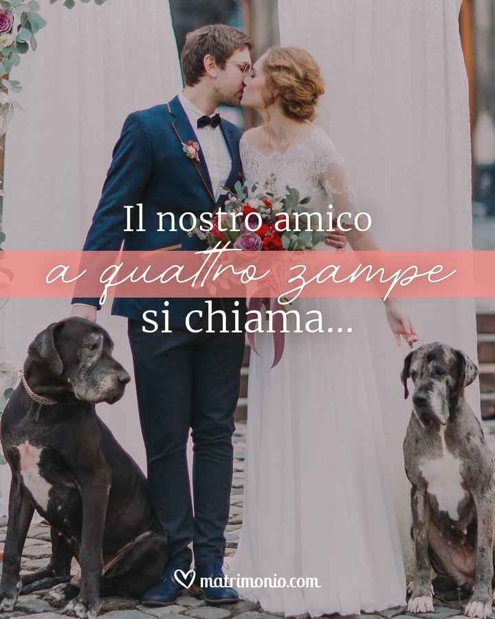 Il nostro amico a quattro zampe si chiama... - 1