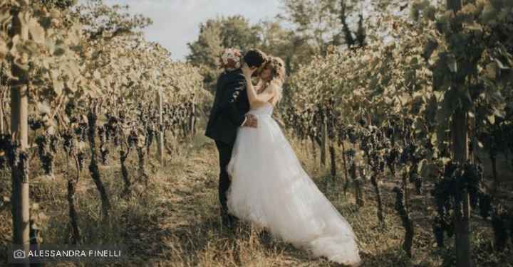 Come organizzare un matrimonio in vigna 👇 - 1