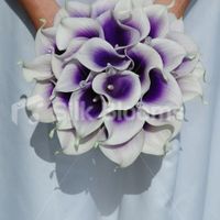 Lilla/viola porta sfortuna? - 1